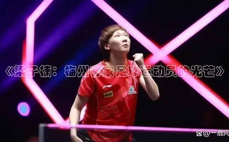 欧陆娱乐平台登陆地址百度集团《梁子楠：梅州客家足球运动员的光芒》