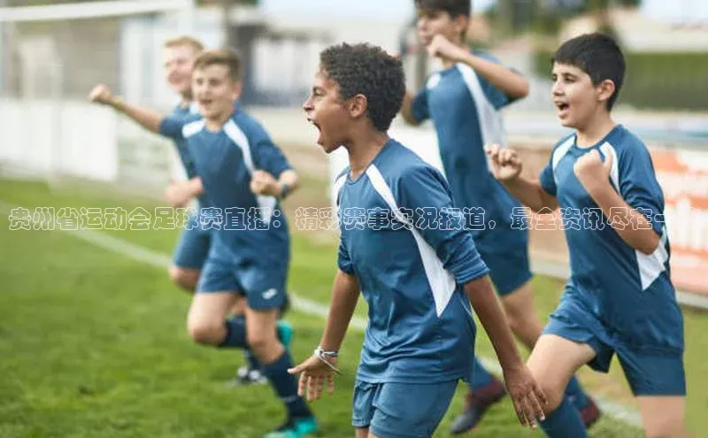 欧陆在线登录华策影视贵州省运动会足球赛直播：精彩赛事实况报道，最全资讯尽在一览