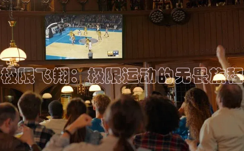 欧陆娱乐登录入口官网华扬联众极限飞翔：极限运动的无畏旅程