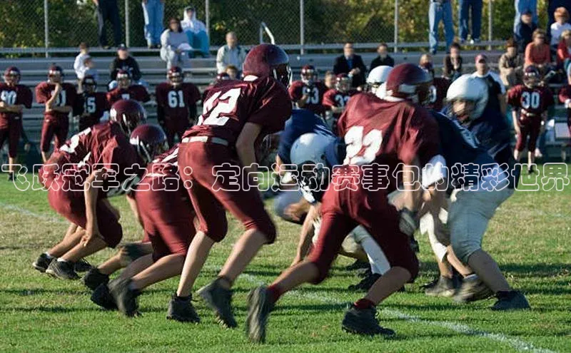 欧陆娱乐平台登录app小米飞跃冠军之路：定向运动赛事包的精彩世界