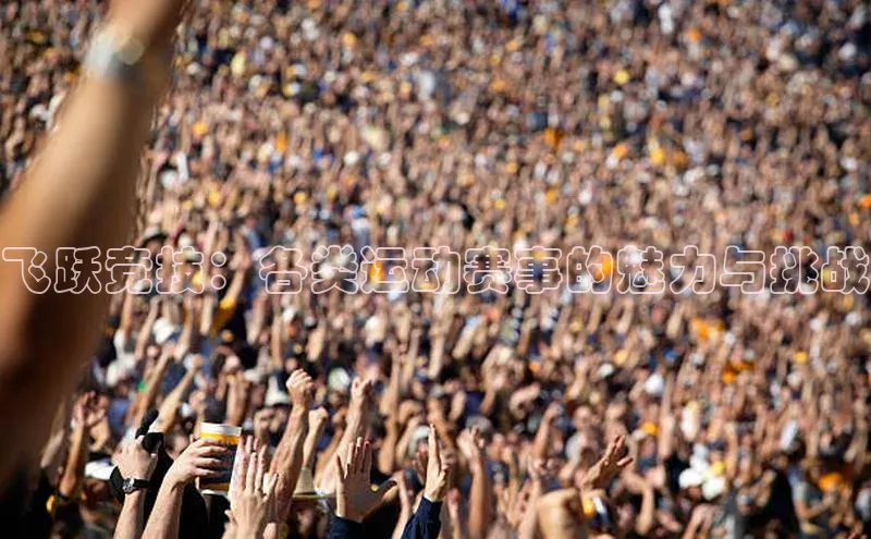 飞跃竞技：各类运动赛事的魅力与挑战