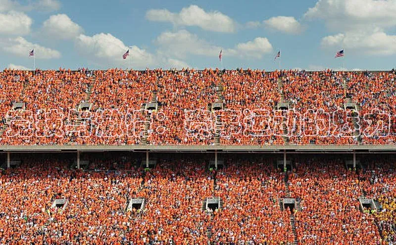 竞技与激情：赛事运动的魅力