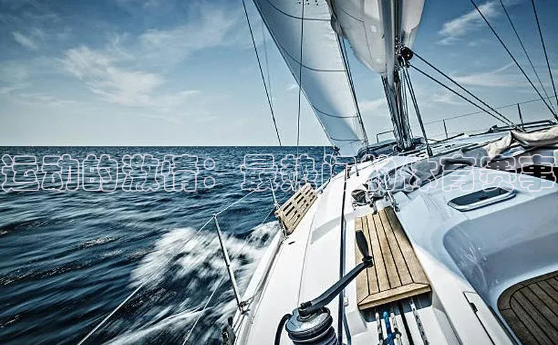 运动的激情：最热门的体育赛事