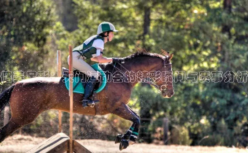 健美足彩：天门运动会的精彩瞬间与赛事分析