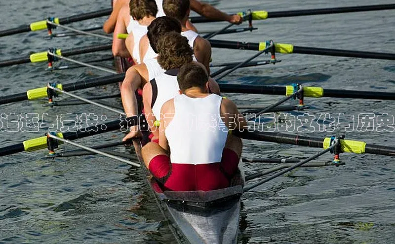 追逐与竞技：狗的运动赛事背后的文化与历史