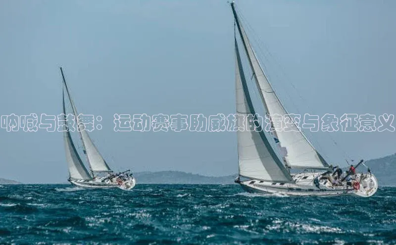 呐喊与鼓舞：运动赛事助威旗的演变与象征意义