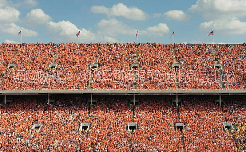 超越界限：SSG运动赛事的创新与挑战