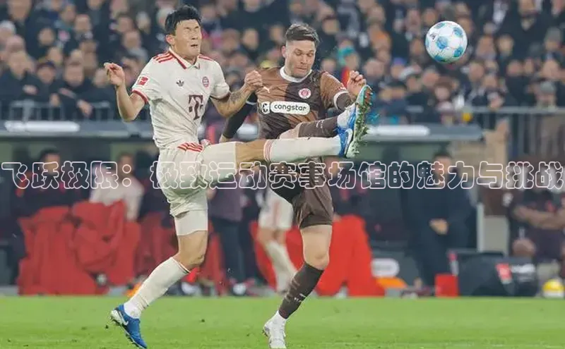 飞跃极限：极致运动赛事场馆的魅力与挑战