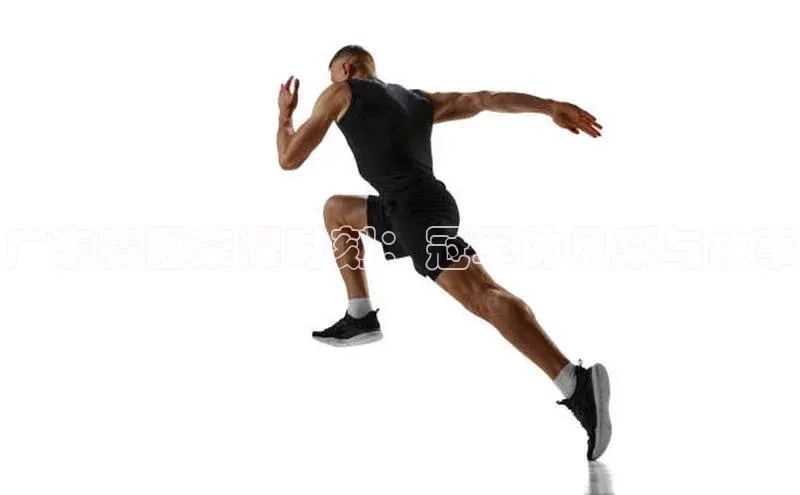 广东赛区荣耀时刻：冠军的风采与故事