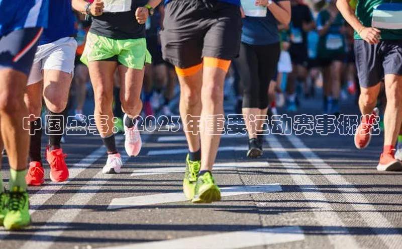 中国盛事：2023年重要运动赛事概览