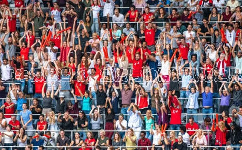 红牛极限运动：速度与激情的极限边界