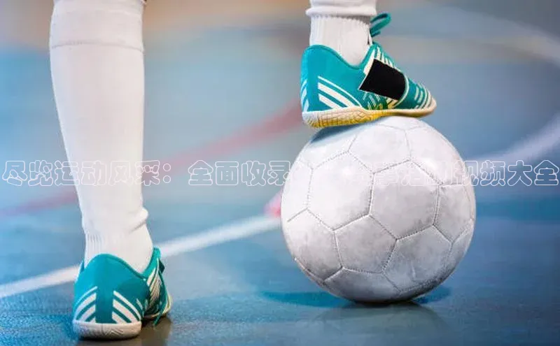 尽览运动风采：全面收录各类赛事活动视频大全