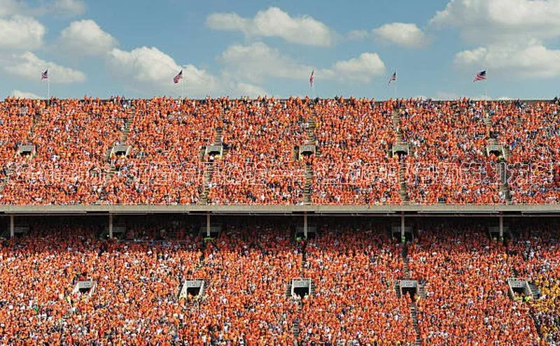 超越赛场：打造专属体验——运动赛事包场策划方案