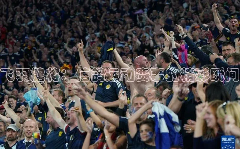 飞羽健将：信鸽运动赛事的精彩瞬间